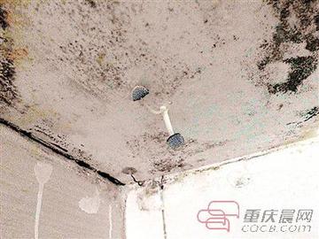 重庆雨季奇观，天花板长出蘑菇的背后故事