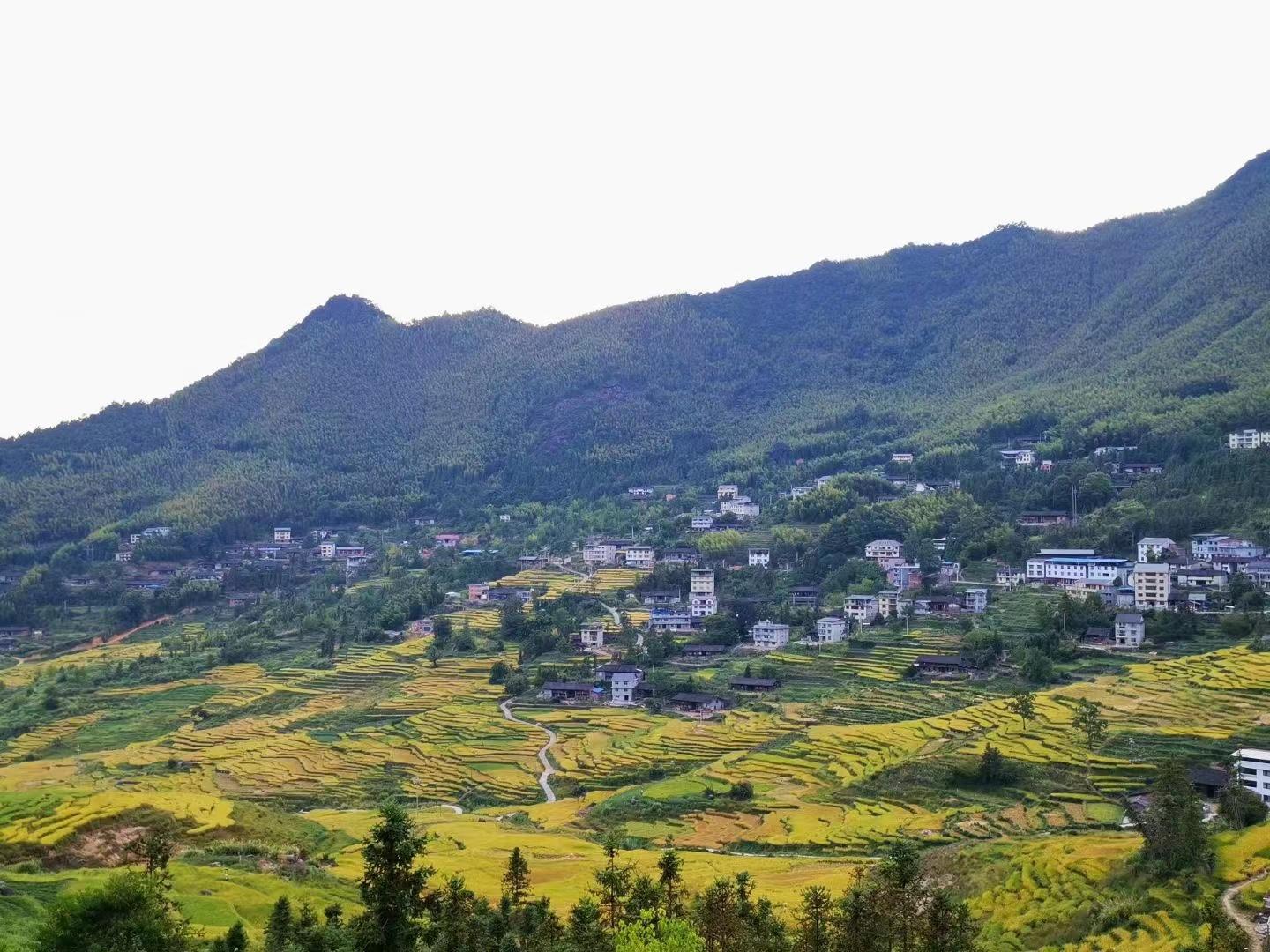 外国游客开始涌入中国农村，一场文化与自然的深度邂逅