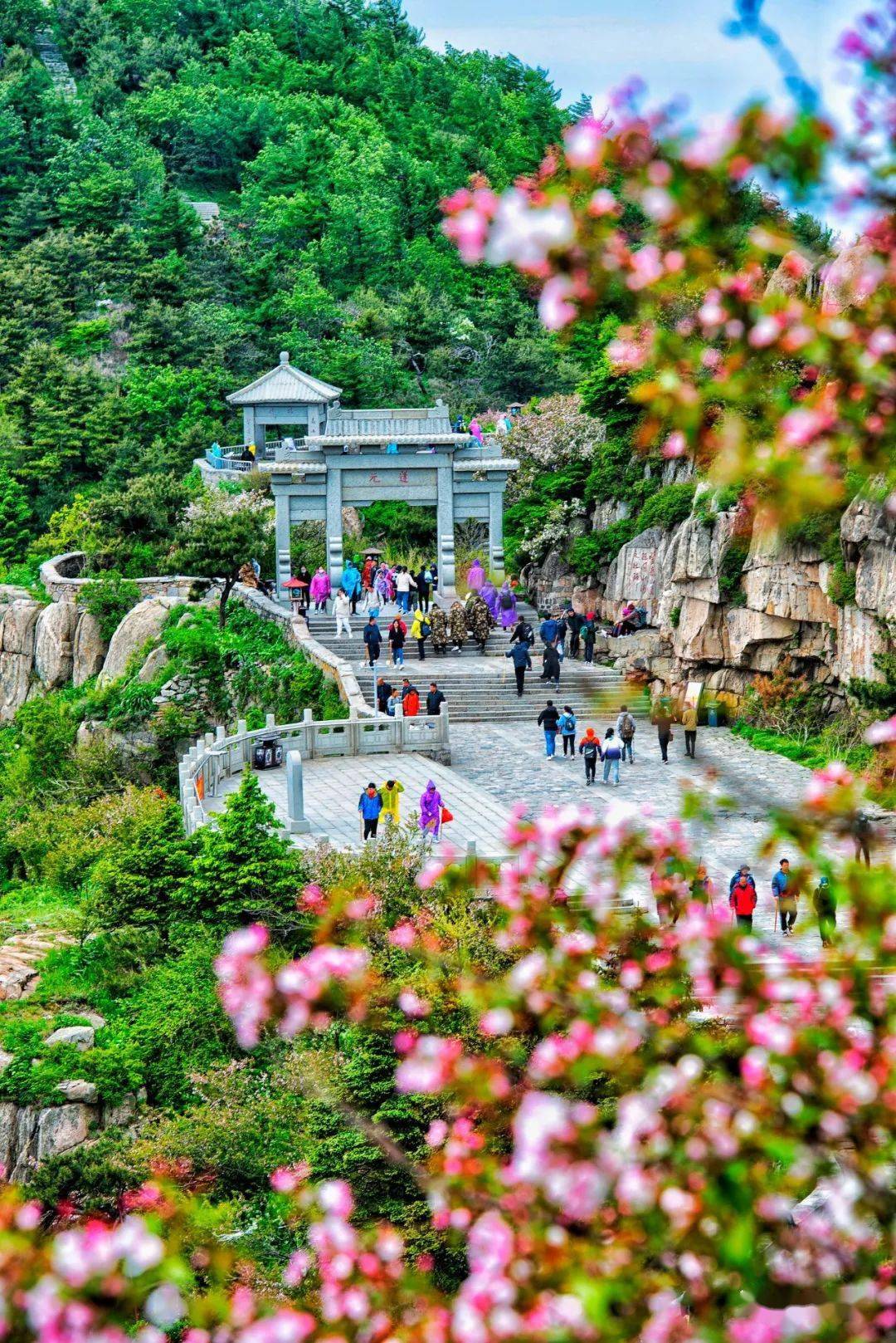 媒体评泰山铁网围山，一场关于自然与保护的对话