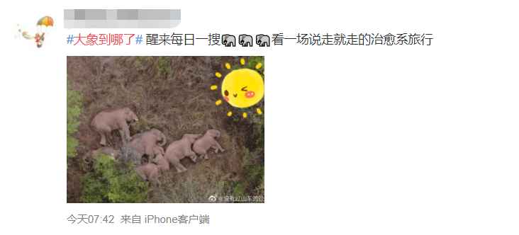 瞿颖与张丰毅，时光里的温暖合影